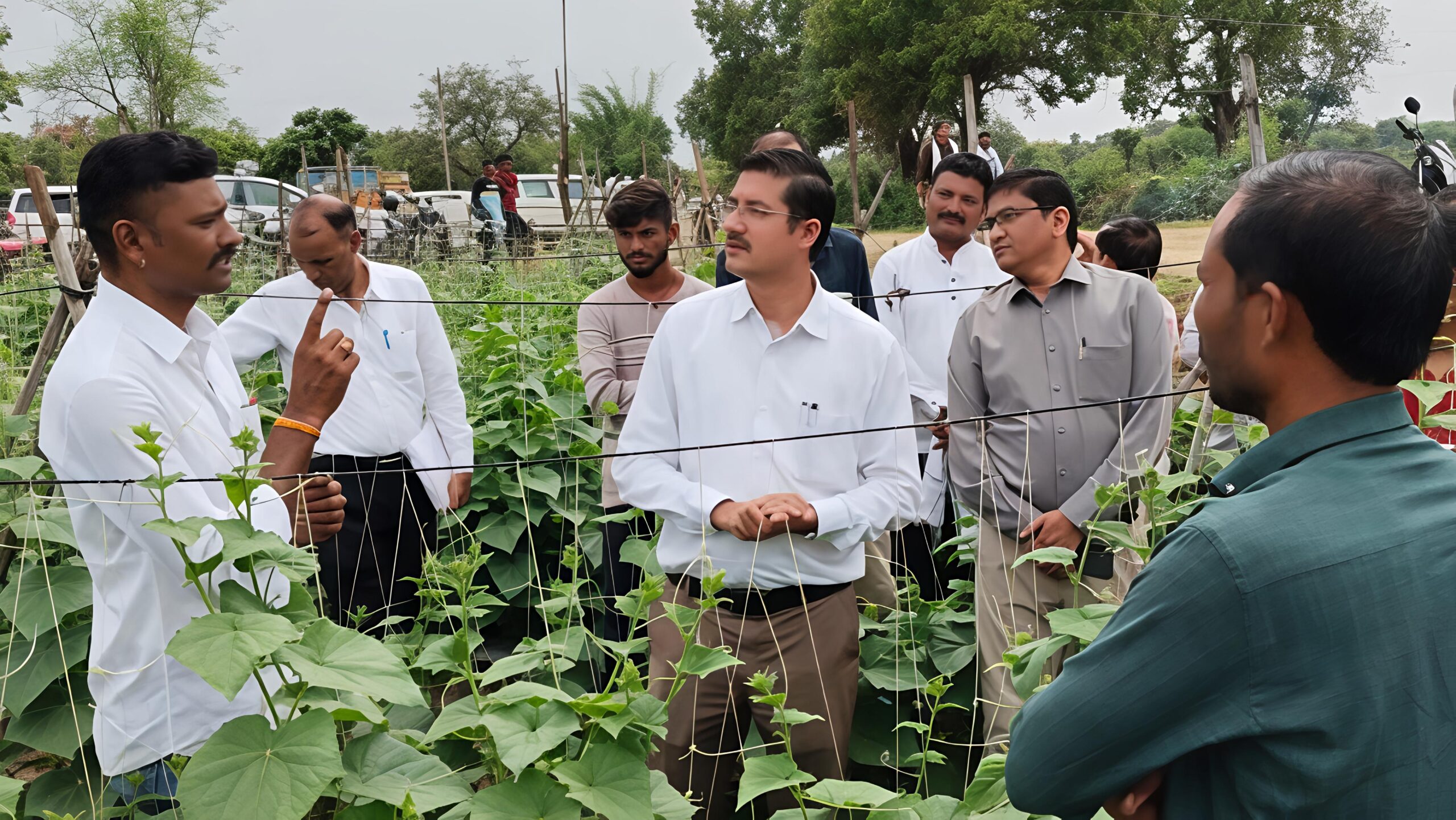 जावर बना उद्यानिकी क्रांति का मॉडल गांव: खीरे-टमाटर की खेती से किसानों की बदली तकदीर, दुबई तक पहुंच रही उपज